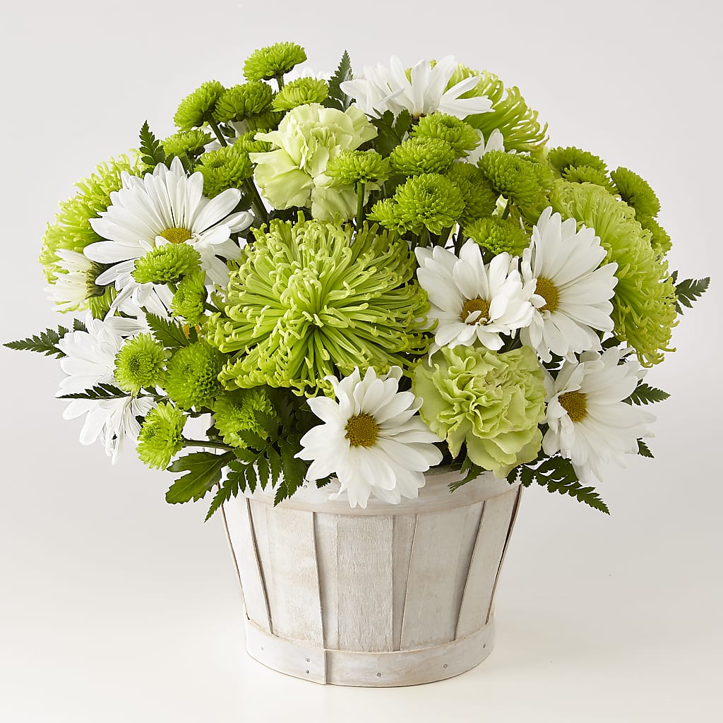 Lucky Charm Basket (Standard) – FLOWER HOUSE PLANTS & BLOOMS, Willowick OH