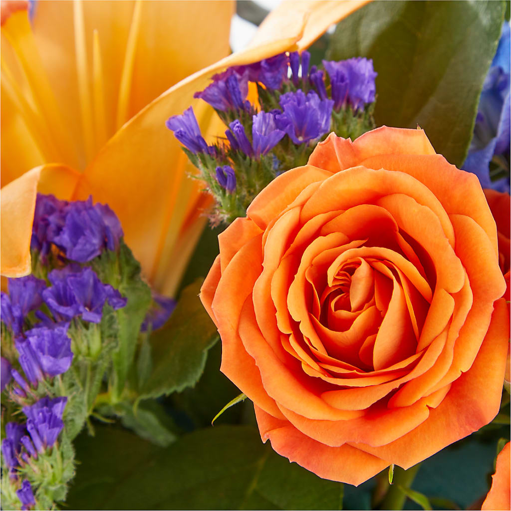 Radiant Citrus Box Bouquet – FLOWER HOUSE PLANTS & BLOOMS, Willowick OH