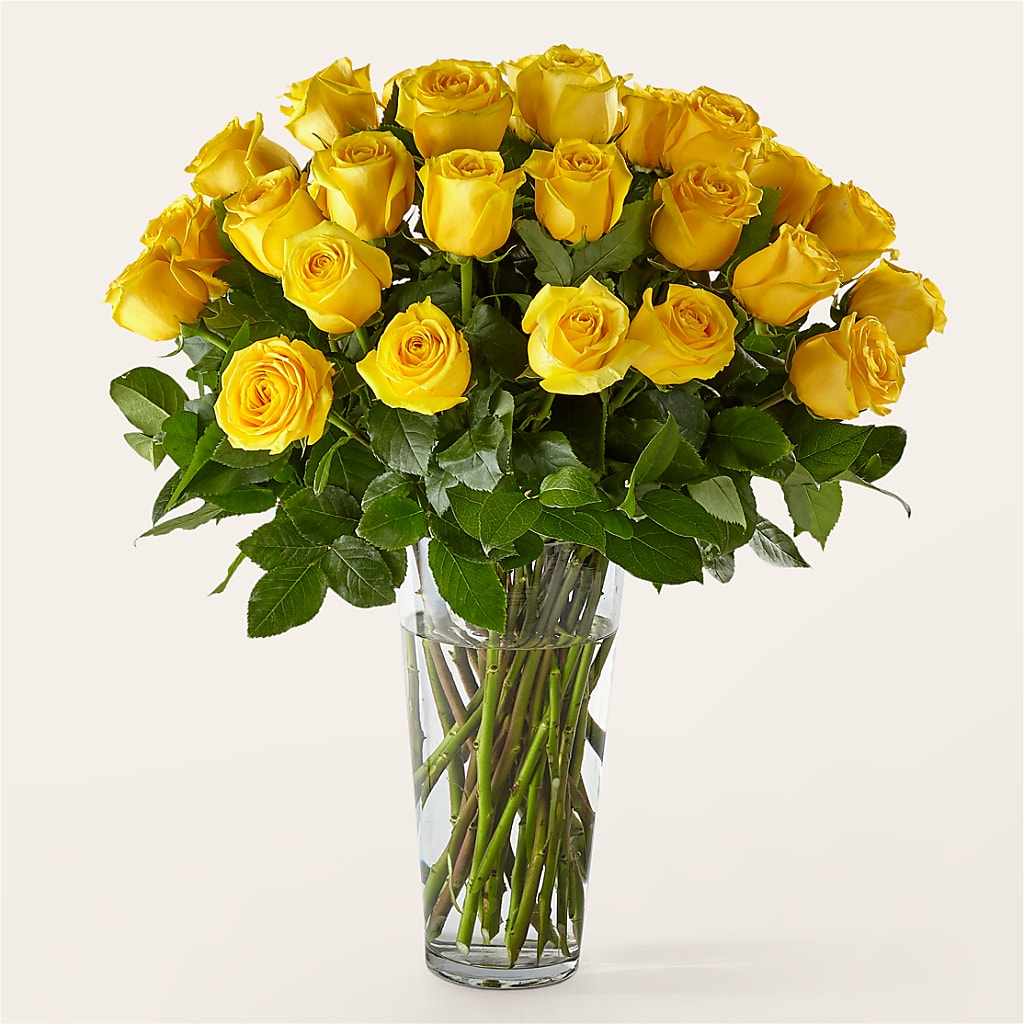 Long Stem Yellow Rose Bouquet – FLOWER HOUSE PLANTS & BLOOMS, Willowick OH