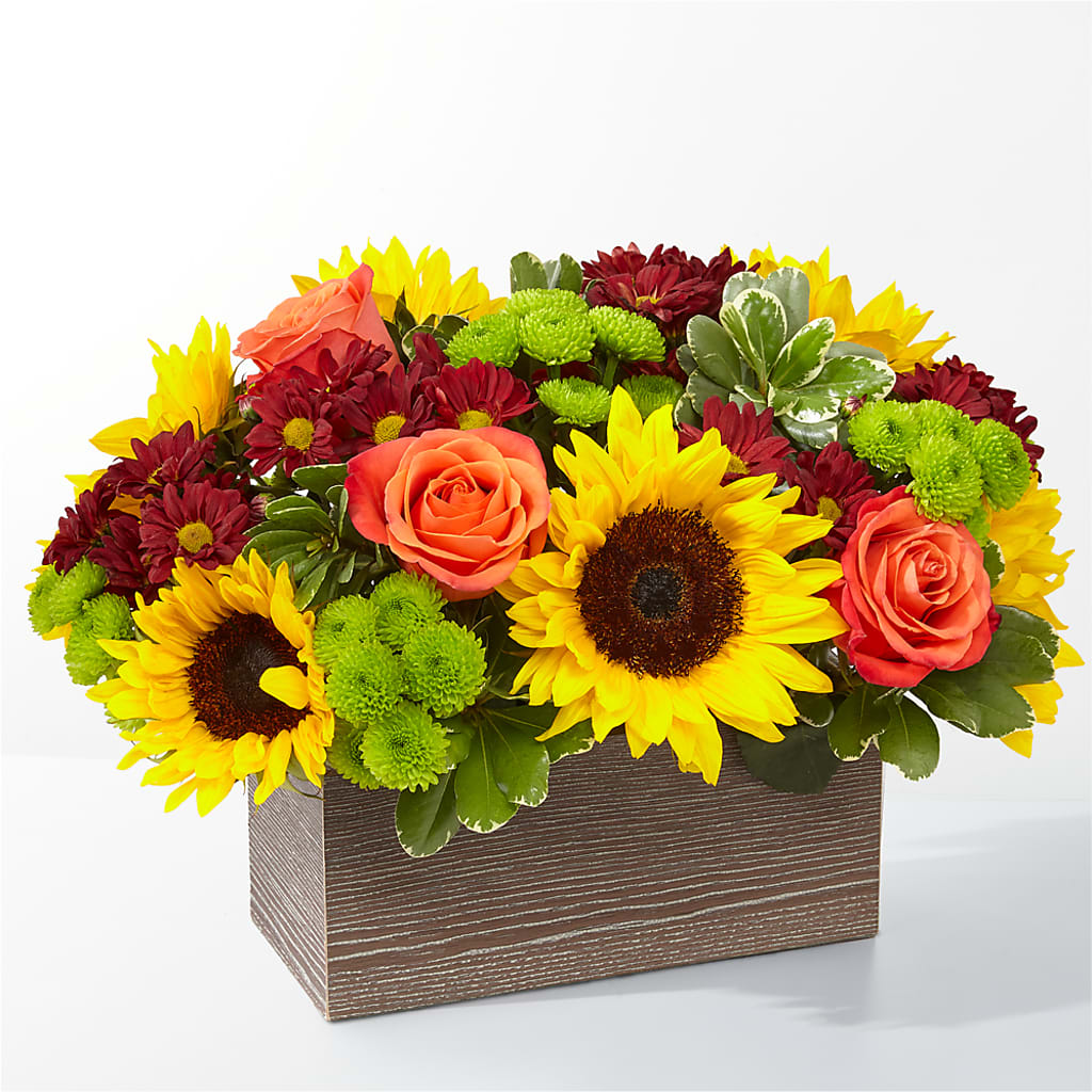 Happy Harvest Garden – FLOWER HOUSE PLANTS & BLOOMS, Willowick OH