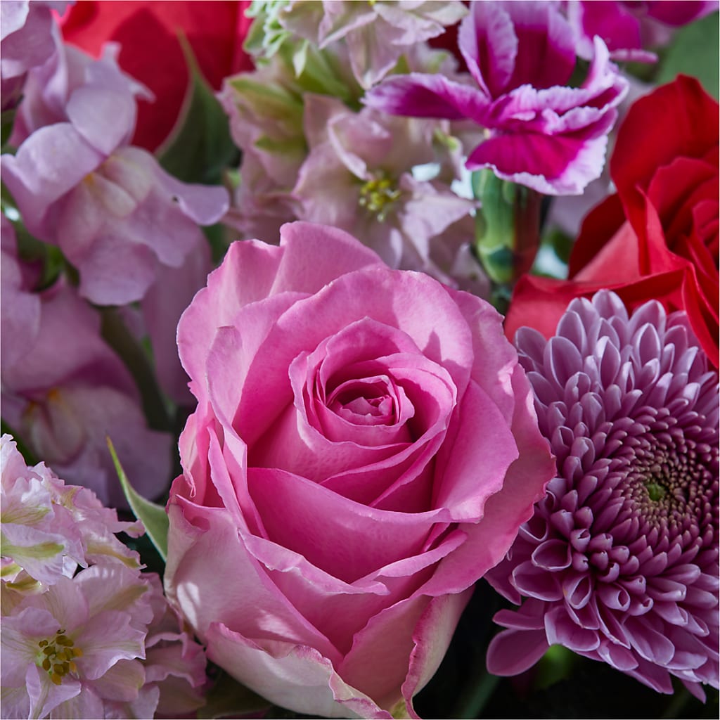 Better Together - A Luxury Florist Original – FLOWER HOUSE PLANTS & BLOOMS, Willowick OH
