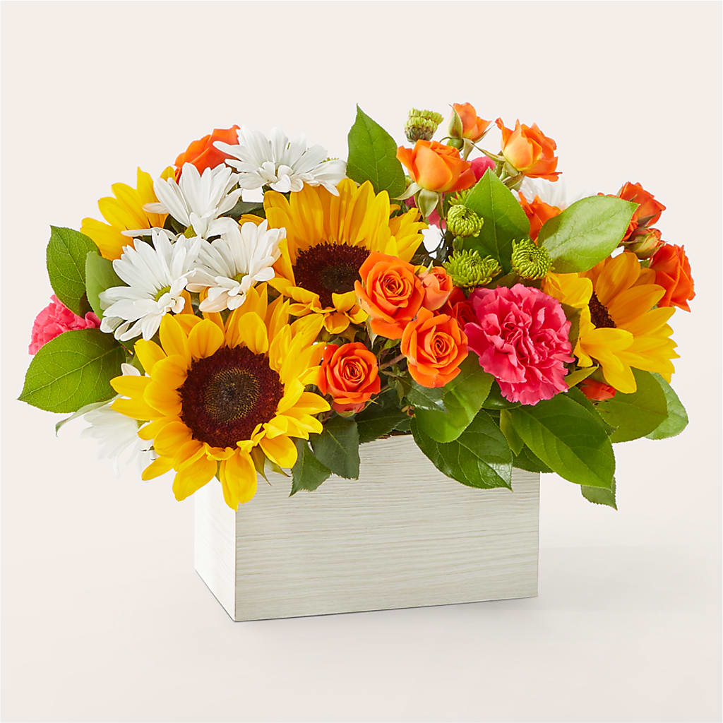 Sun-drenched Blooms Box Bouquet – FLOWER HOUSE PLANTS & BLOOMS, Willowick OH