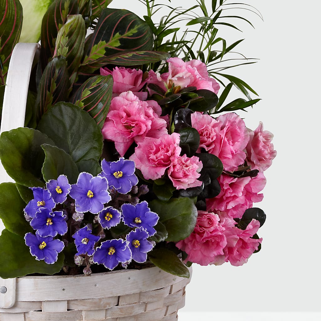 Peaceful Garden Planter – FLOWER HOUSE PLANTS & BLOOMS, Willowick OH