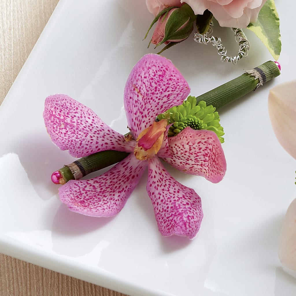 Pink Mokara Boutonniere – FLOWER HOUSE PLANTS & BLOOMS, Willowick OH