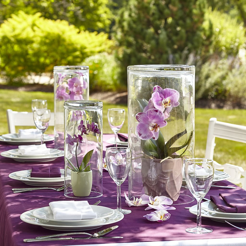 Dramatic Garden Centerpiece – FLOWER HOUSE PLANTS & BLOOMS, Willowick OH
