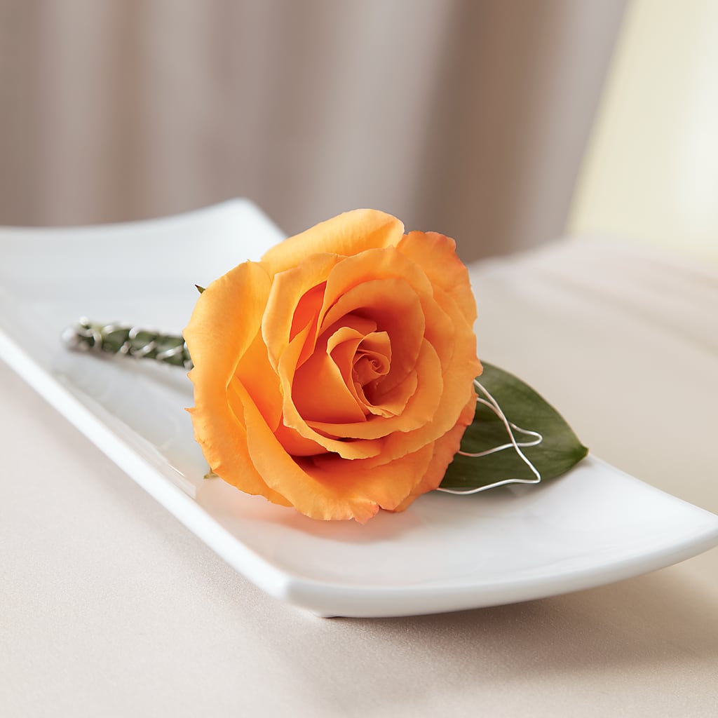 Lifetime of Love Boutonniere – FLOWER HOUSE PLANTS & BLOOMS, Willowick OH