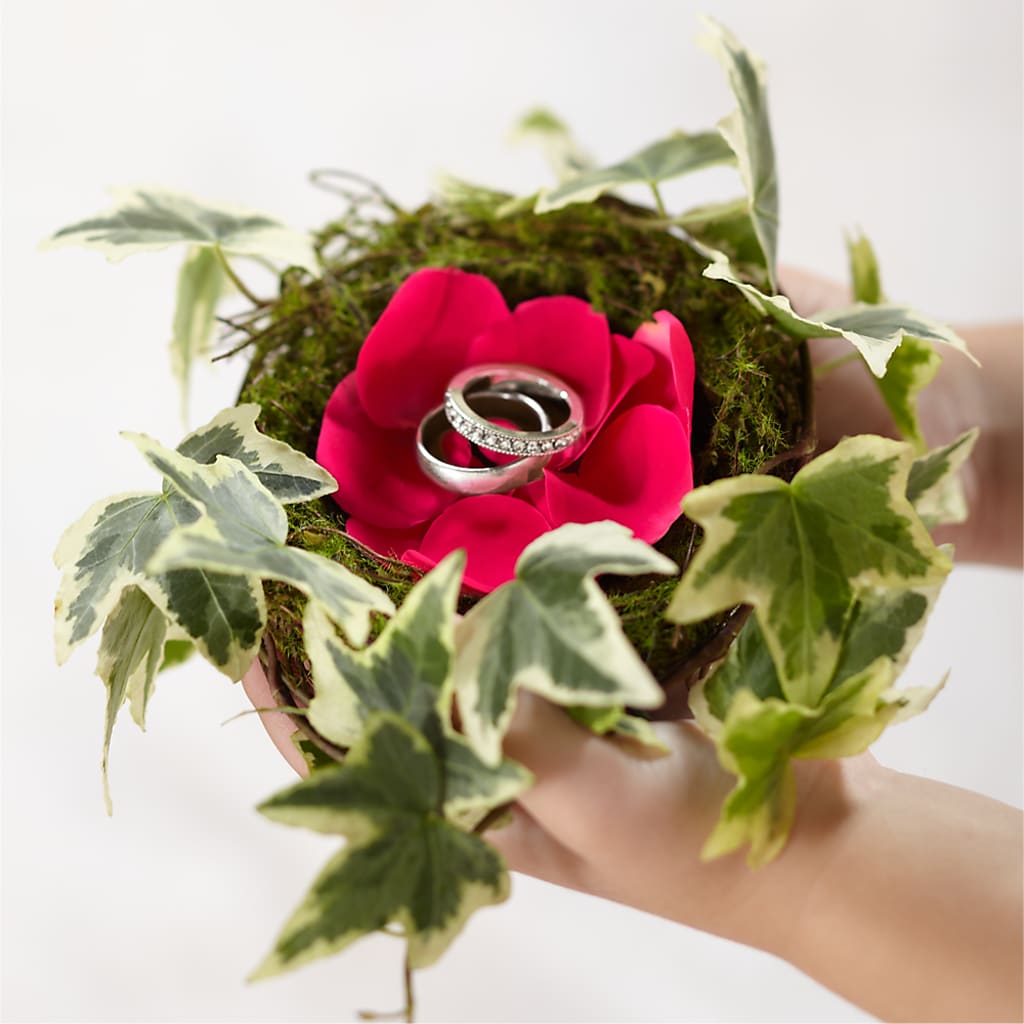 Lila Rose Ring Nest – FLOWER HOUSE PLANTS & BLOOMS, Willowick OH