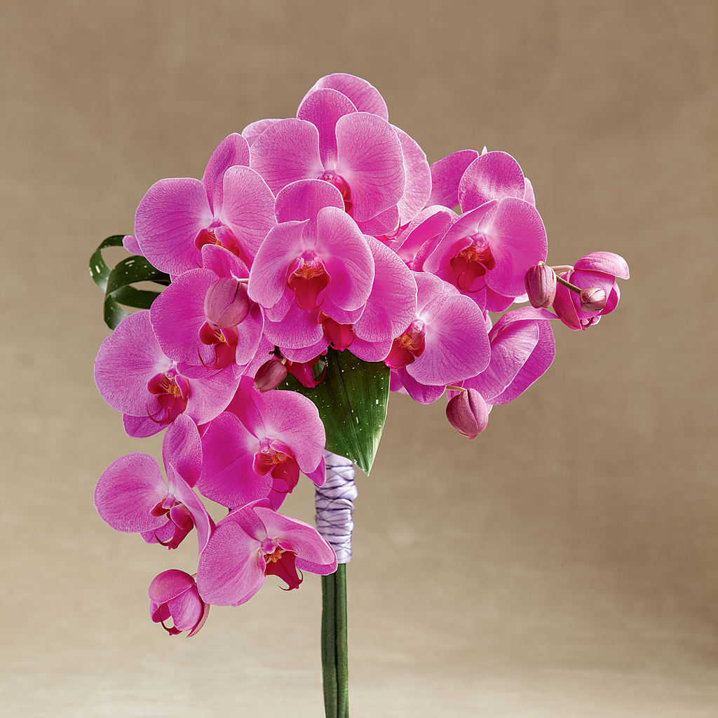 Glorious Bouquet – FLOWER HOUSE PLANTS & BLOOMS, Willowick OH