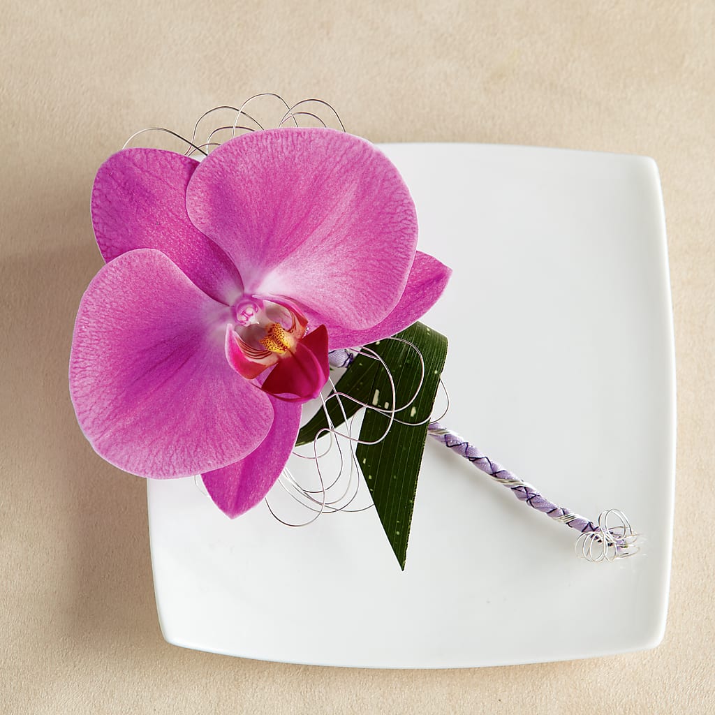 Glorious Boutonniere – FLOWER HOUSE PLANTS & BLOOMS, Willowick OH
