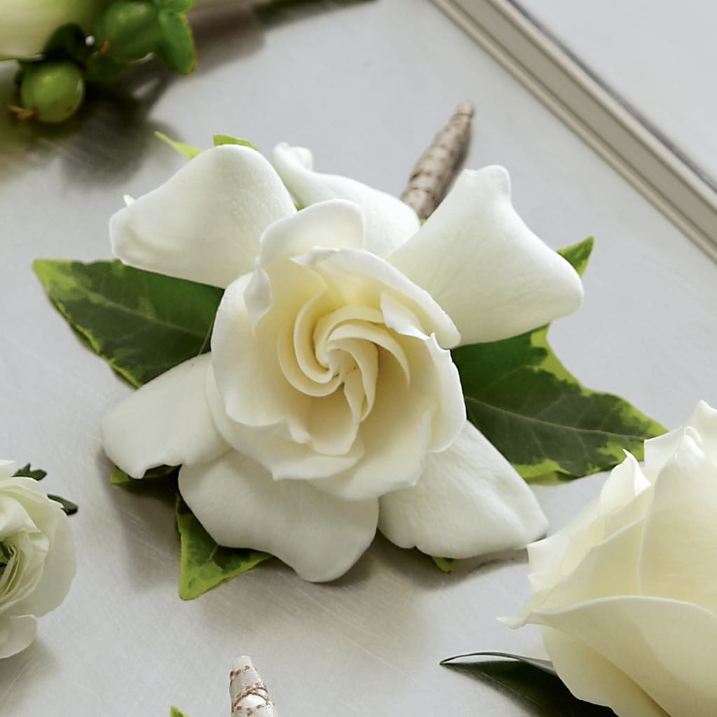Gardenia Boutonniere – FLOWER HOUSE PLANTS & BLOOMS, Willowick OH