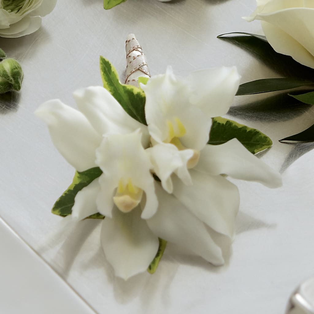White Mini Cymbidium Boutonniere – FLOWER HOUSE PLANTS & BLOOMS, Willowick OH