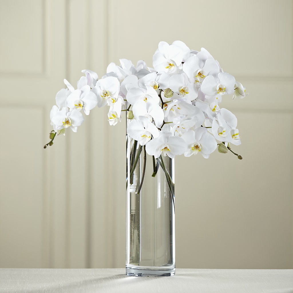 White Phalaenopsis Bouquet – FLOWER HOUSE PLANTS & BLOOMS, Willowick OH