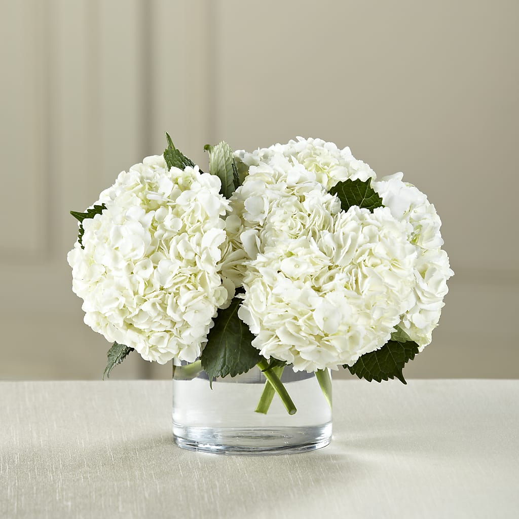 White Hydrangea Bouquet – FLOWER HOUSE PLANTS & BLOOMS, Willowick OH