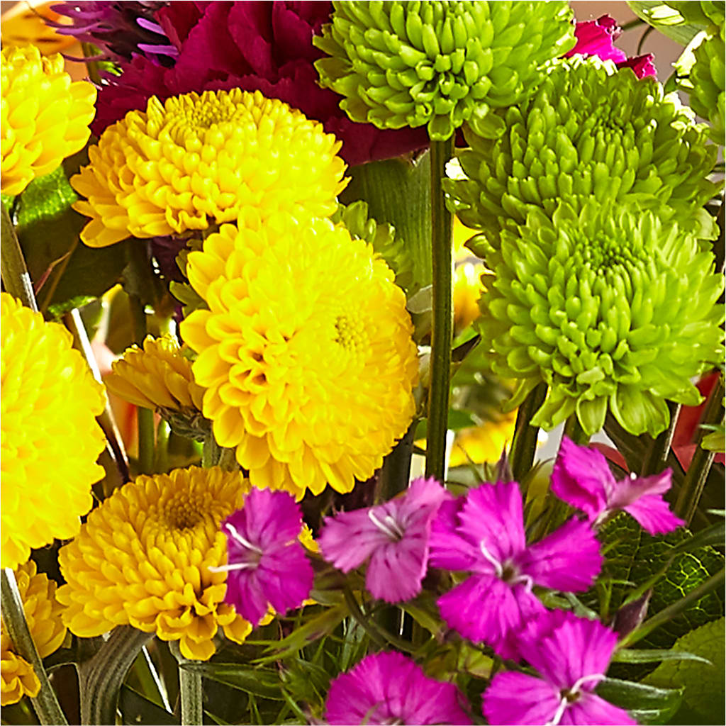 Bold & Bright – A Florist Original – FLOWER HOUSE PLANTS & BLOOMS, Willowick OH