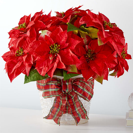 Happiest Holidays Poinsettia – FLOWER HOUSE PLANTS & BLOOMS, Willowick OH