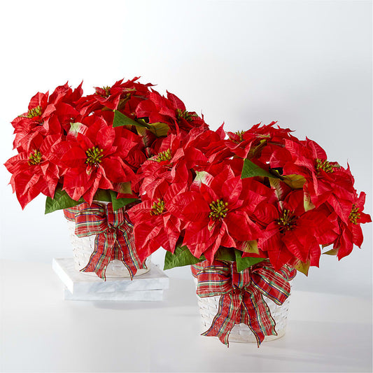 Happiest Holidays Poinsettia Bundle – FLOWER HOUSE PLANTS & BLOOMS, Willowick OH