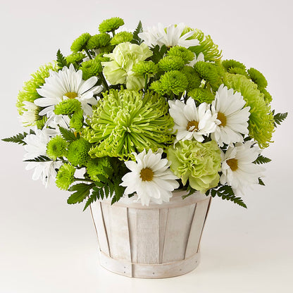 Lucky Charm Basket (Standard) – FLOWER HOUSE PLANTS & BLOOMS, Willowick OH
