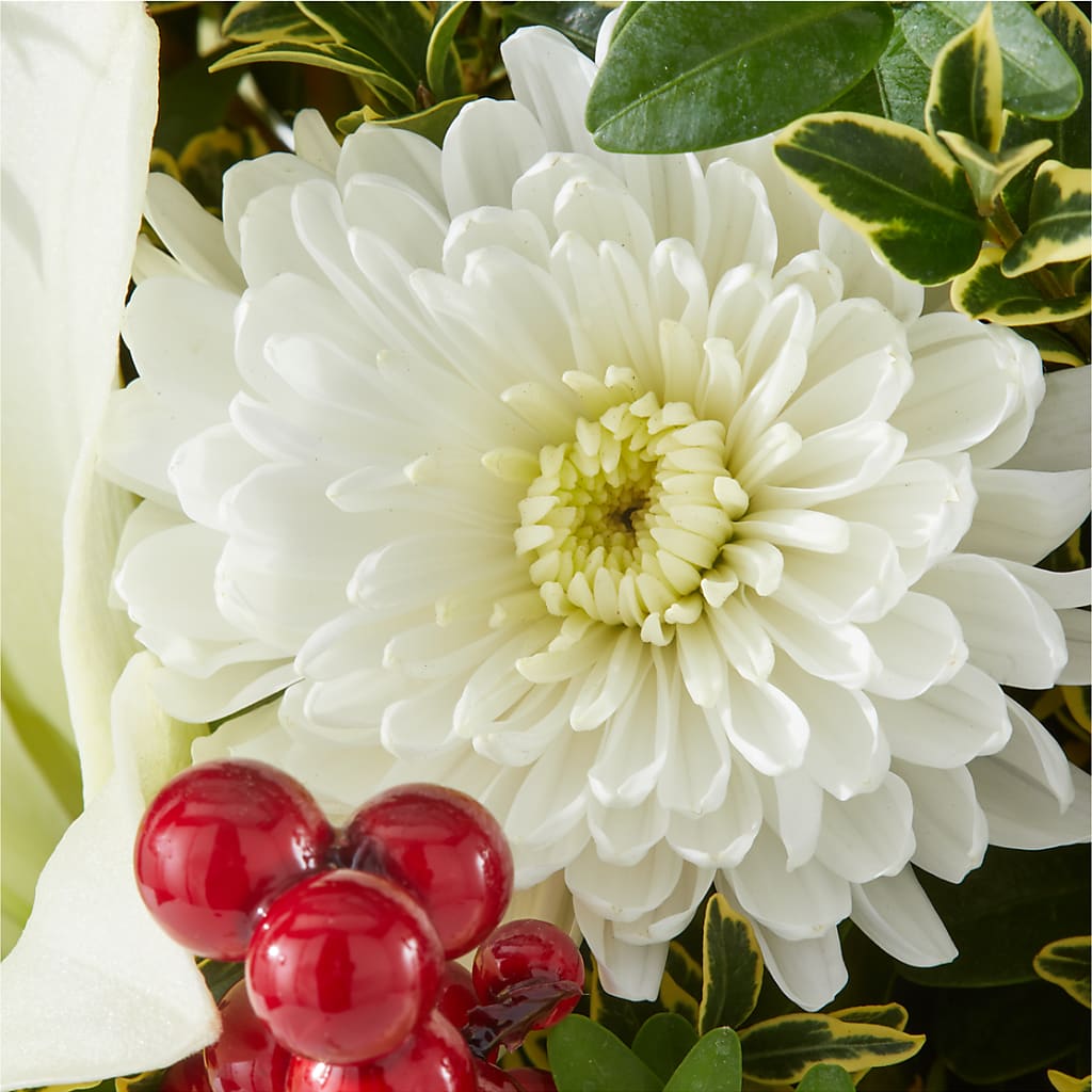 Festive Moments Tree – FLOWER HOUSE PLANTS & BLOOMS, Willowick OH
