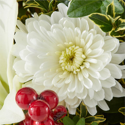 Festive Moments Tree – FLOWER HOUSE PLANTS & BLOOMS, Willowick OH