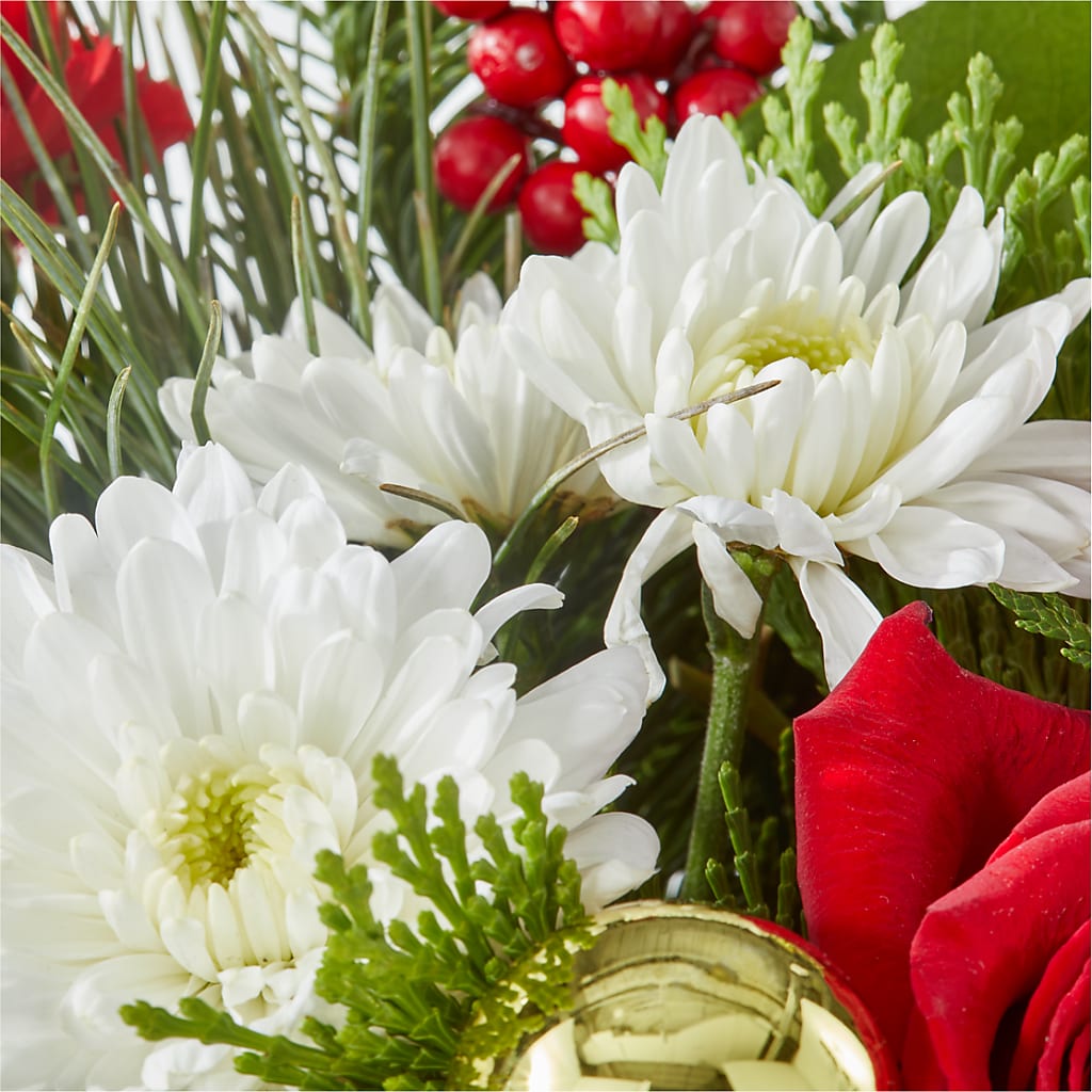 Merry Magic Nutcracker – FLOWER HOUSE PLANTS & BLOOMS, Willowick OH