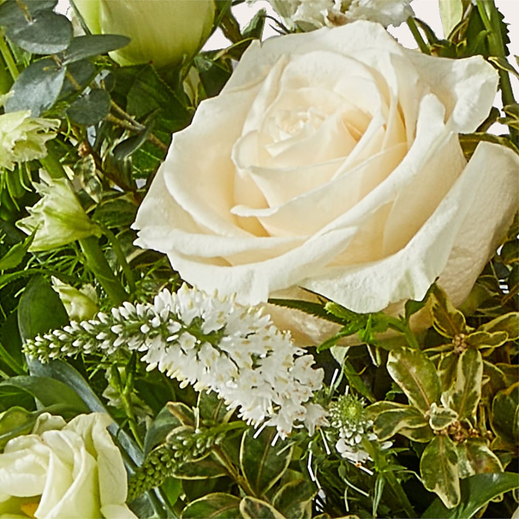 Cashmere Bouquet – FLOWER HOUSE PLANTS & BLOOMS, Willowick OH