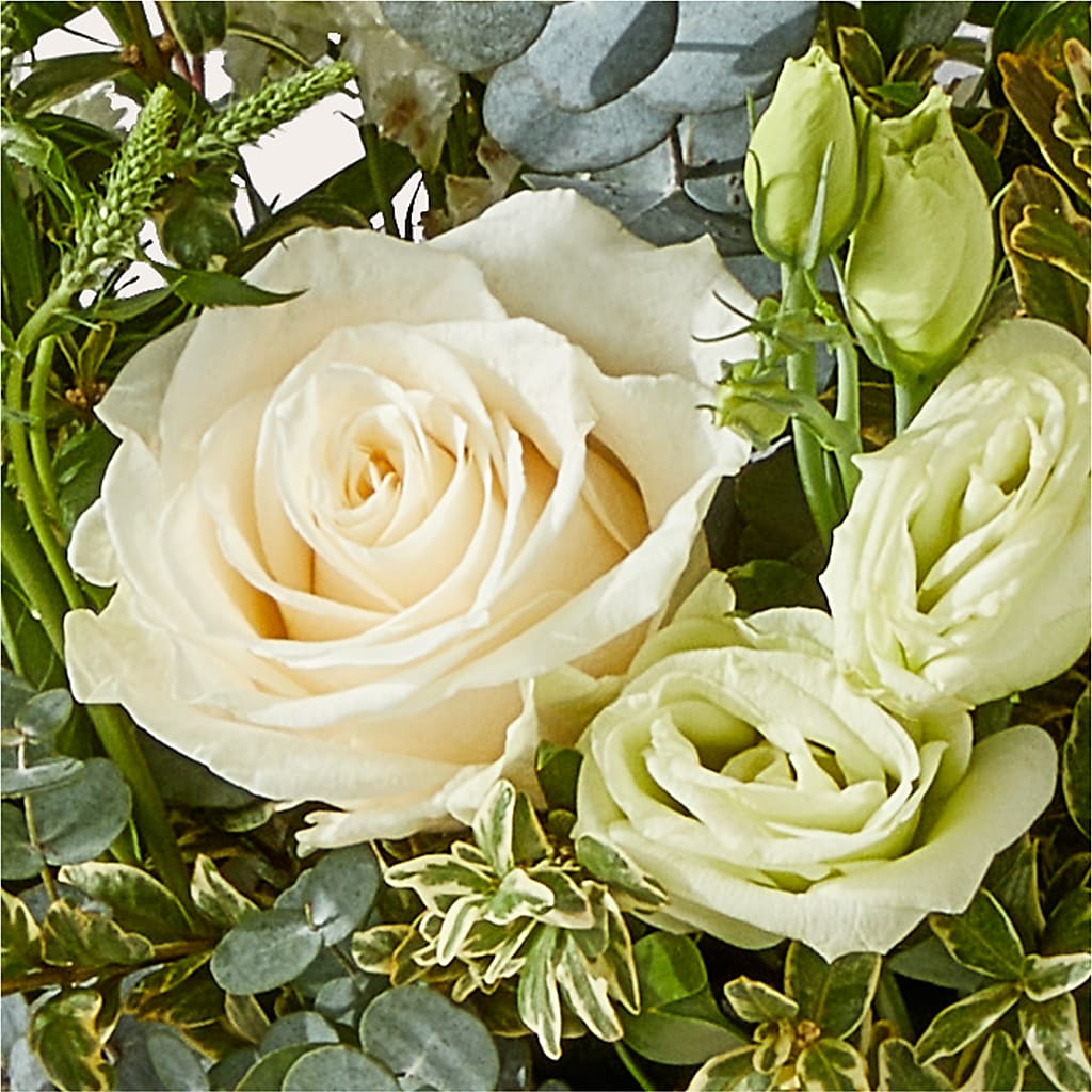 Cashmere Bouquet – FLOWER HOUSE PLANTS & BLOOMS, Willowick OH