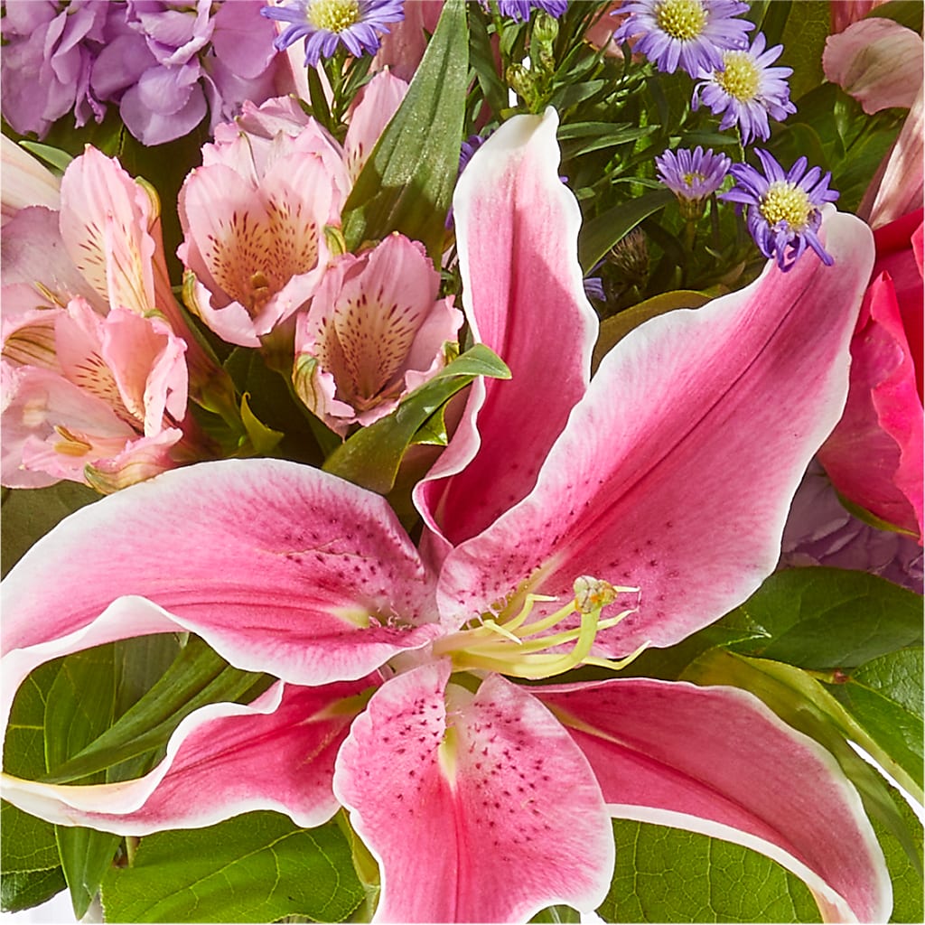 Written in the Stars Bouquet – FLOWER HOUSE PLANTS & BLOOMS, Willowick OH