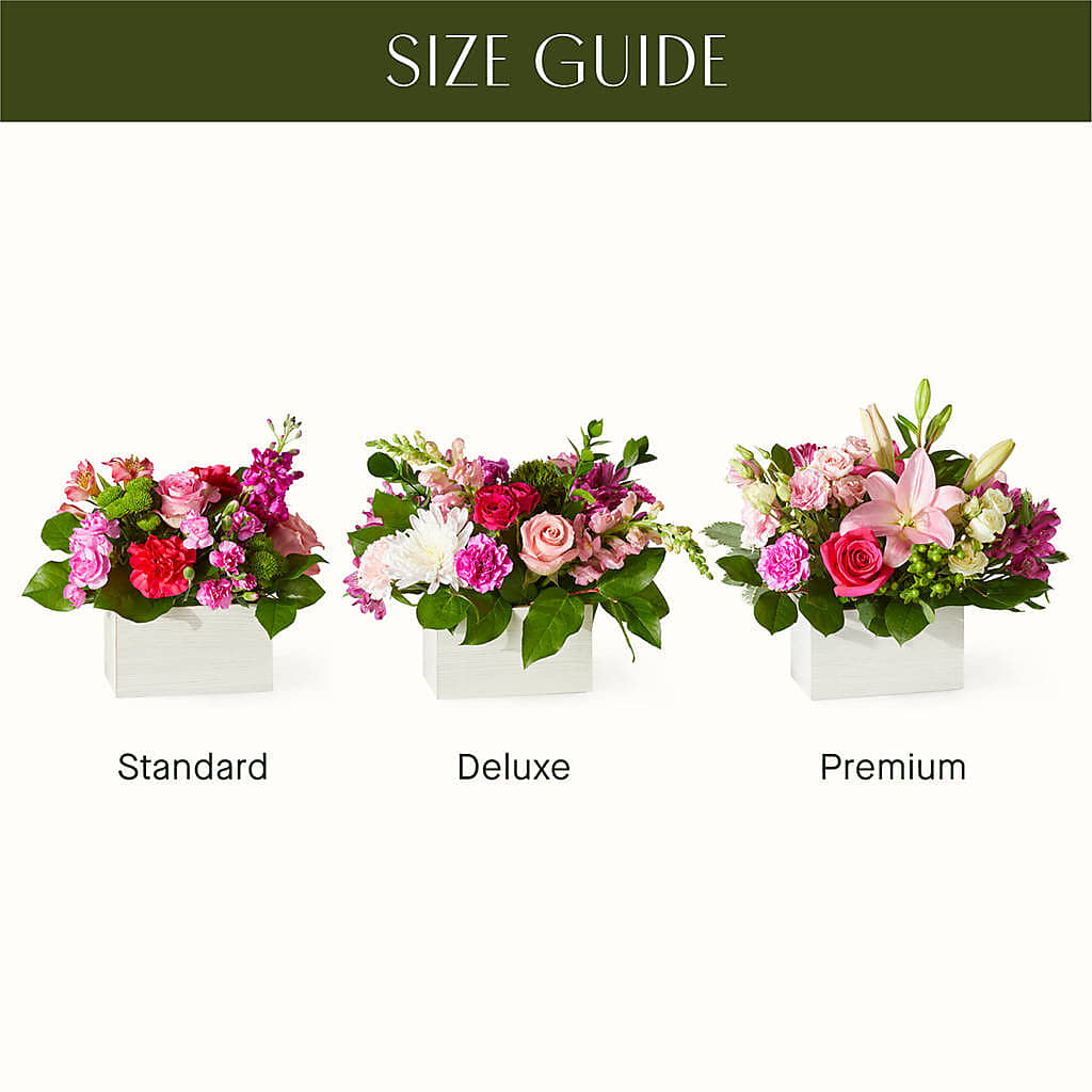 Sweetberry Box – A Florist Original – FLOWER HOUSE PLANTS & BLOOMS, Willowick OH