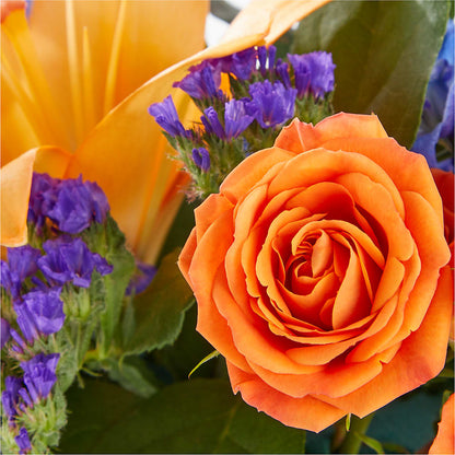 Radiant Citrus Box Bouquet – FLOWER HOUSE PLANTS & BLOOMS, Willowick OH