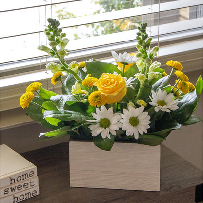 Sun Salutation Box Bouquet – FLOWER HOUSE PLANTS & BLOOMS, Willowick OH