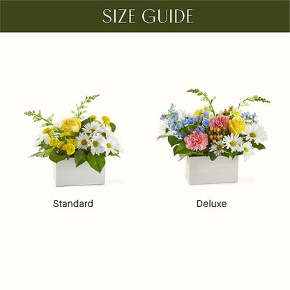 Sun Salutation Box Bouquet – FLOWER HOUSE PLANTS & BLOOMS, Willowick OH