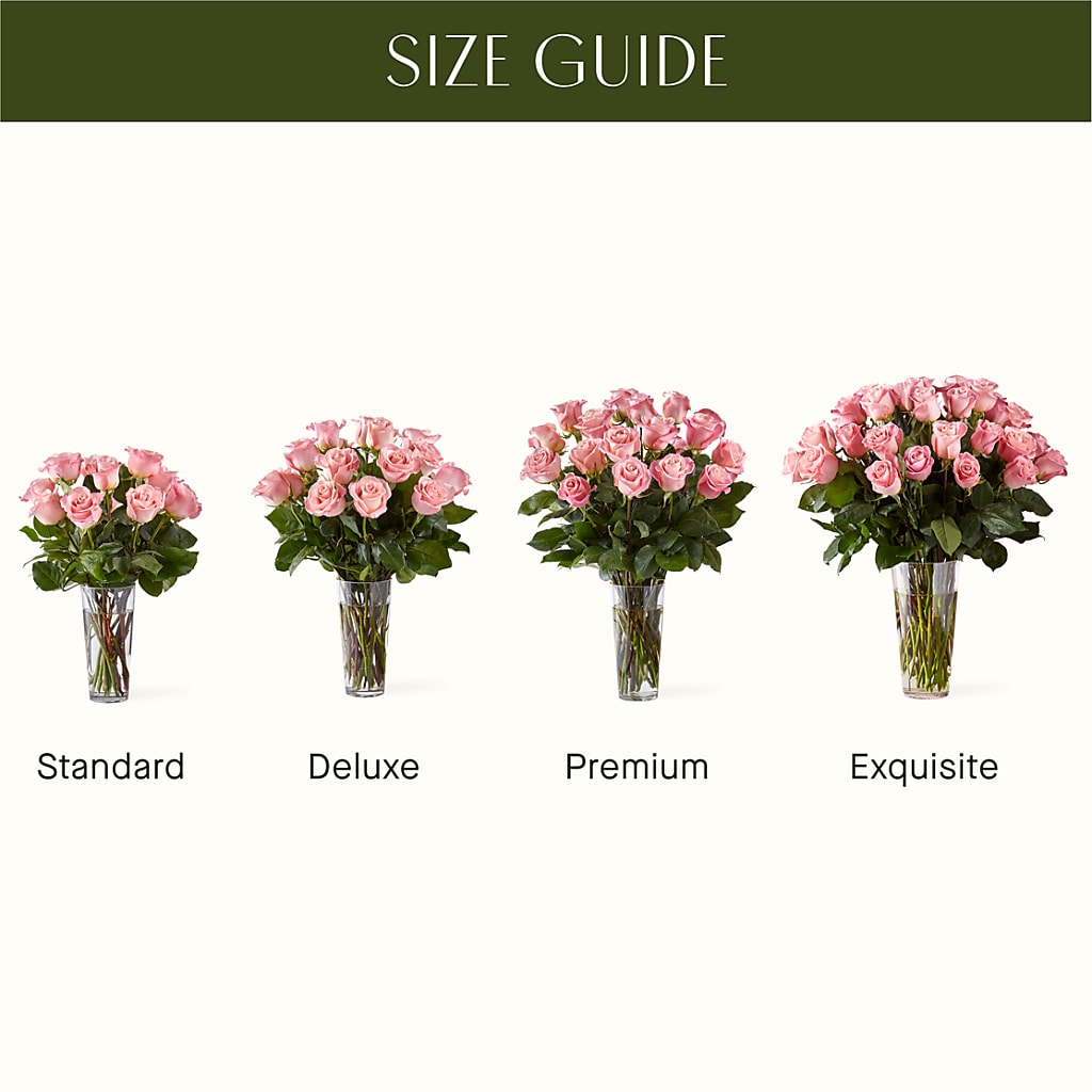 Long Stem Pink Rose Bouquet – FLOWER HOUSE PLANTS & BLOOMS, Willowick OH