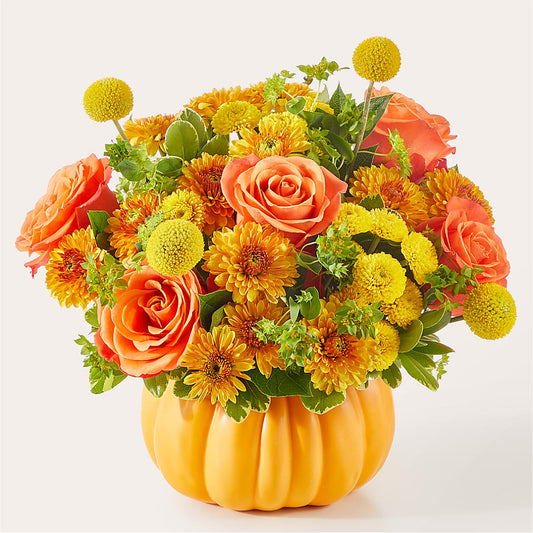 Gourdgeous Pumpkin – FLOWER HOUSE PLANTS & BLOOMS, Willowick OH