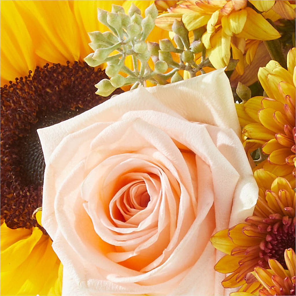 Pumpkin to Talk About Bouquet – FLOWER HOUSE PLANTS & BLOOMS, Willowick OH