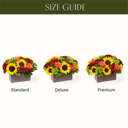 Happy Harvest Garden – FLOWER HOUSE PLANTS & BLOOMS, Willowick OH