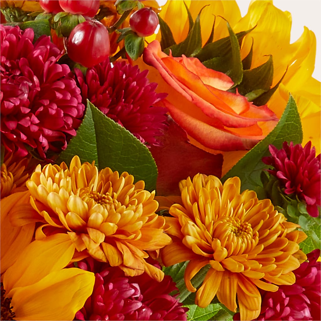 Sweater Season - A Florist Original – FLOWER HOUSE PLANTS & BLOOMS, Willowick OH