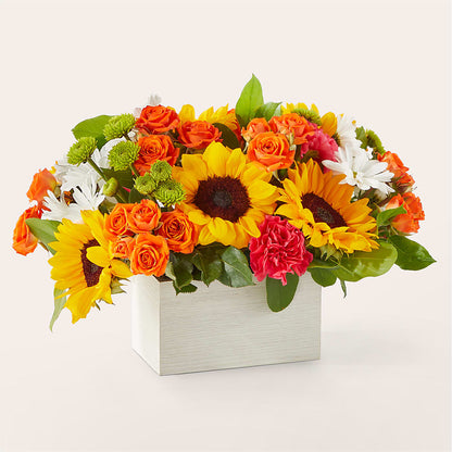 Sun-drenched Blooms Box Bouquet – FLOWER HOUSE PLANTS & BLOOMS, Willowick OH