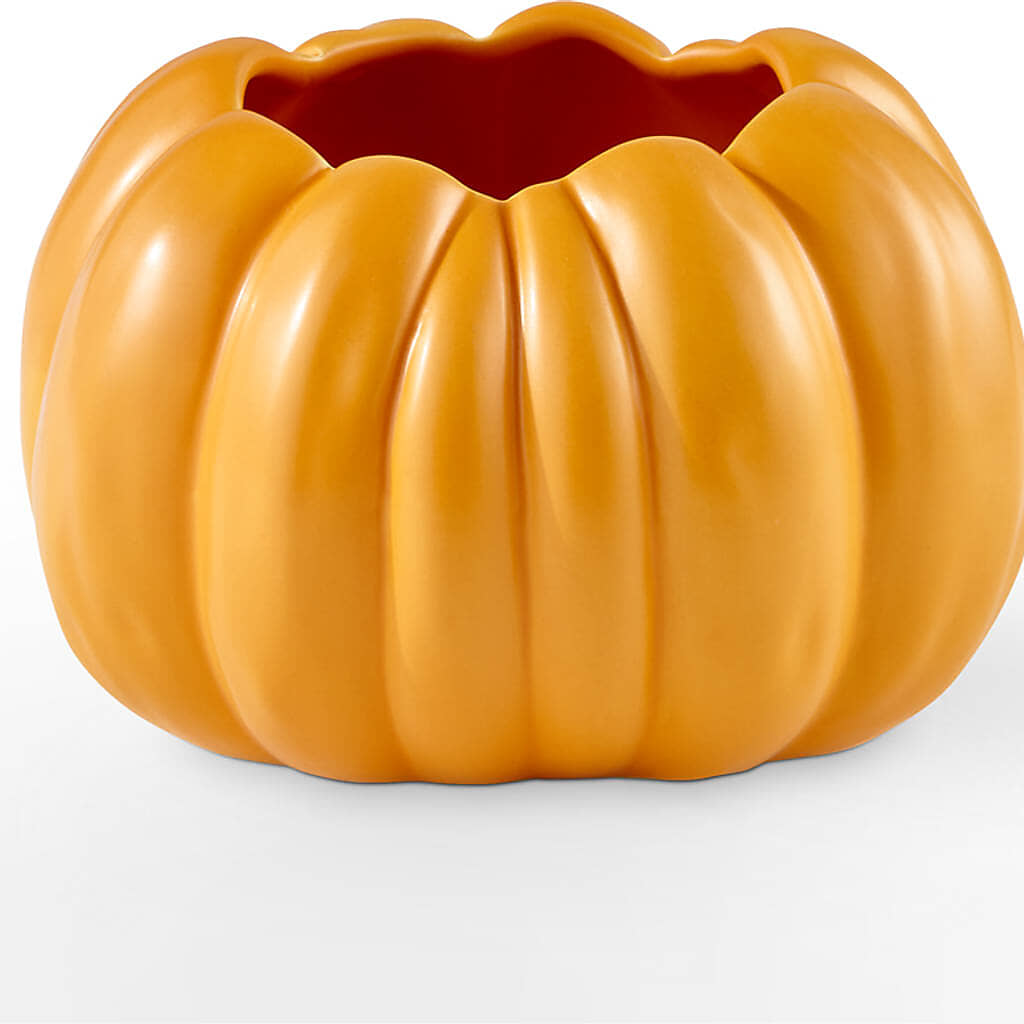 Golden Gourd Pumpkin Bouquet – FLOWER HOUSE PLANTS & BLOOMS, Willowick OH