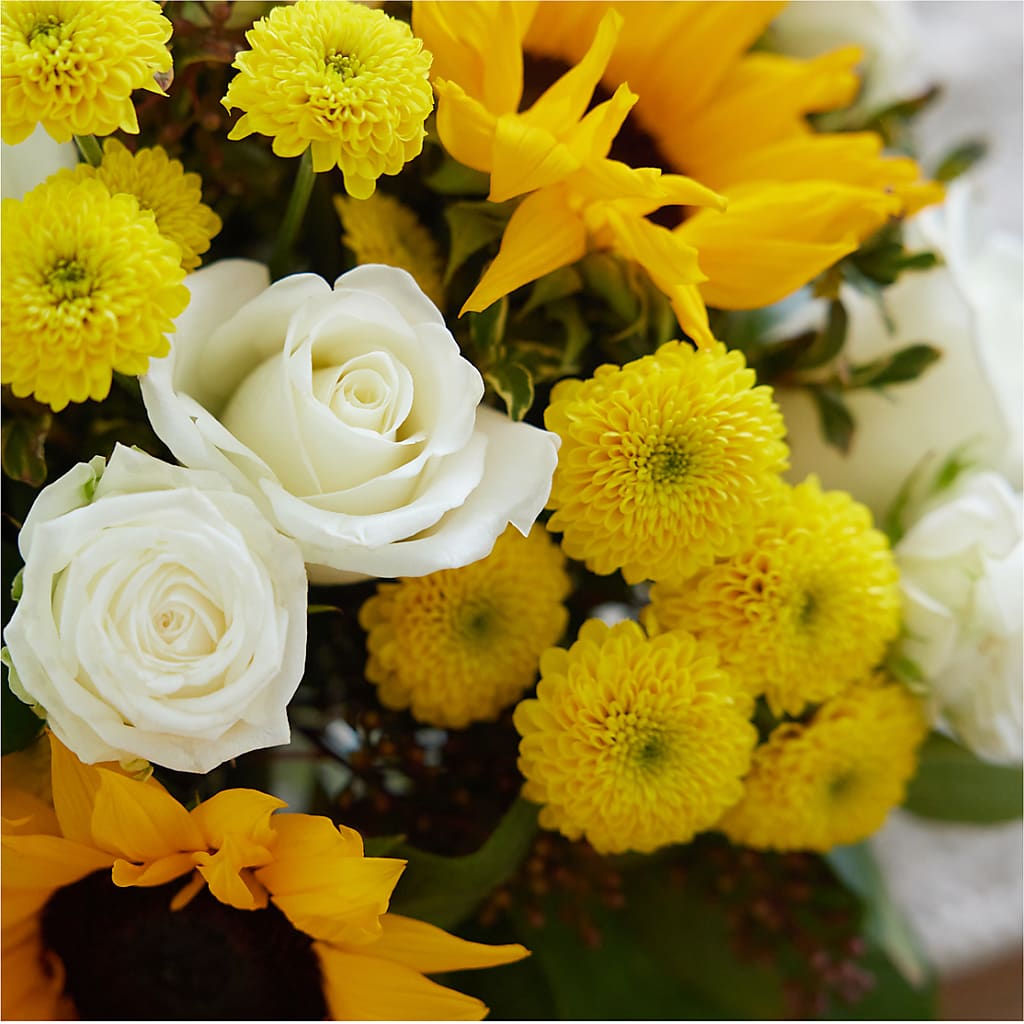 Luminous Morning Bouquet – FLOWER HOUSE PLANTS & BLOOMS, Willowick OH