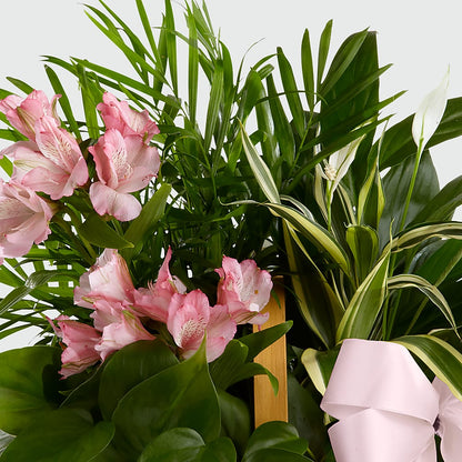 Living Spirit Dishgarden – FLOWER HOUSE PLANTS & BLOOMS, Willowick OH