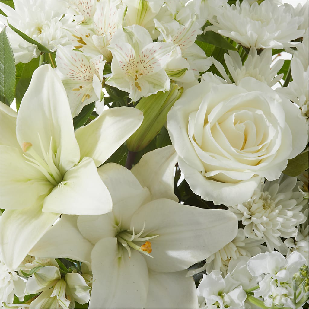 Peaceful Reflections Arrangement – FLOWER HOUSE PLANTS & BLOOMS, Willowick OH