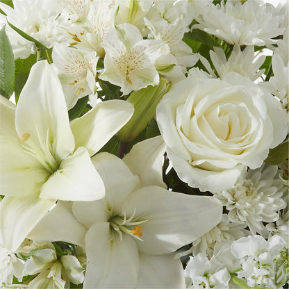 Peaceful Reflections Arrangement – FLOWER HOUSE PLANTS & BLOOMS, Willowick OH