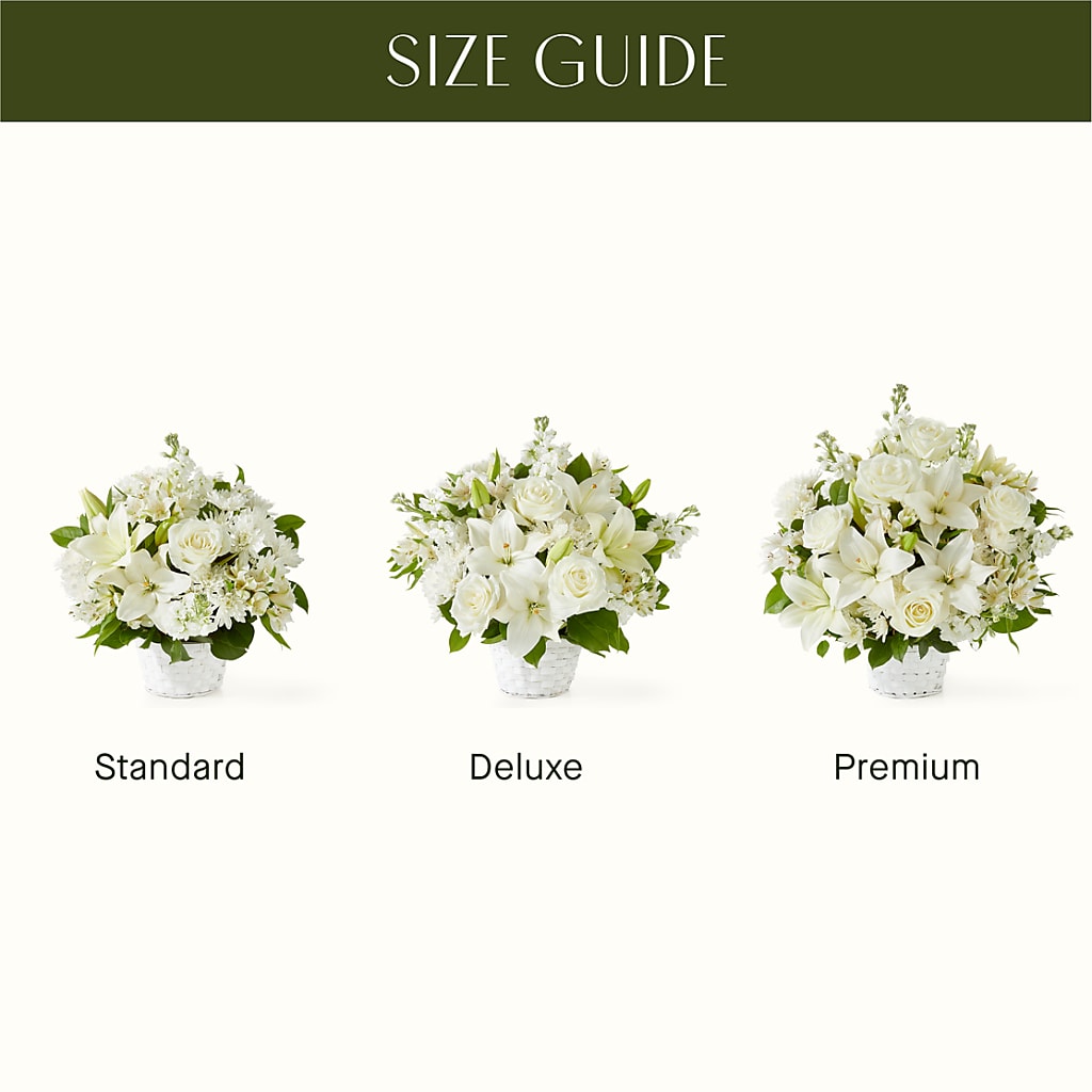 Peaceful Reflections Arrangement – FLOWER HOUSE PLANTS & BLOOMS, Willowick OH