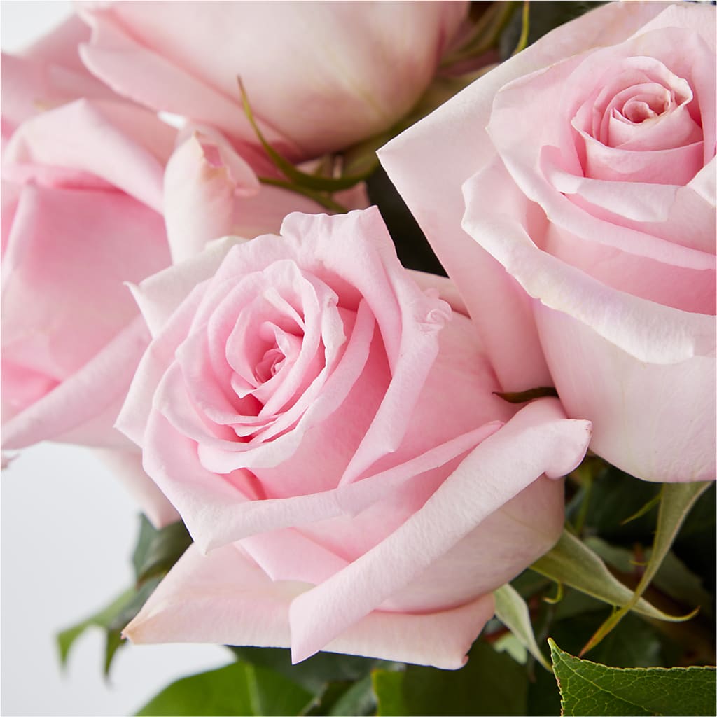 Picture Perfect Pink Rose Bouquet – FLOWER HOUSE PLANTS & BLOOMS, Willowick OH
