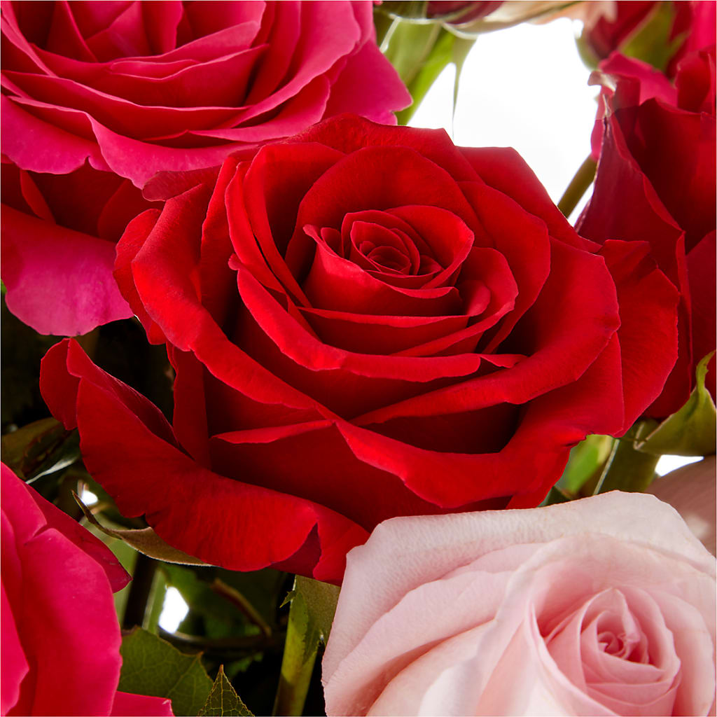 Love Notes Rose Bouquet – FLOWER HOUSE PLANTS & BLOOMS, Willowick OH