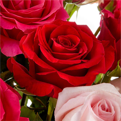 Love Notes Rose Bouquet – FLOWER HOUSE PLANTS & BLOOMS, Willowick OH