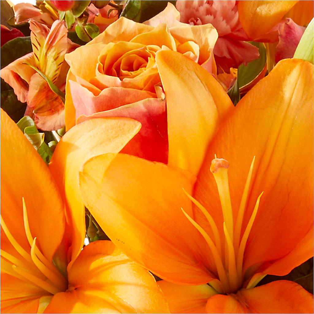 Afternoon Light Bouquet – FLOWER HOUSE PLANTS & BLOOMS, Willowick OH
