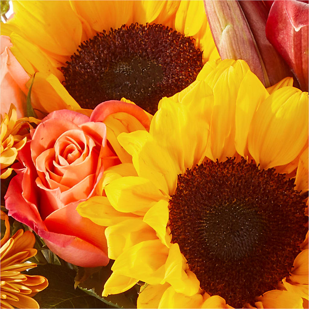 Acorn Lane Bouquet – FLOWER HOUSE PLANTS & BLOOMS, Willowick OH