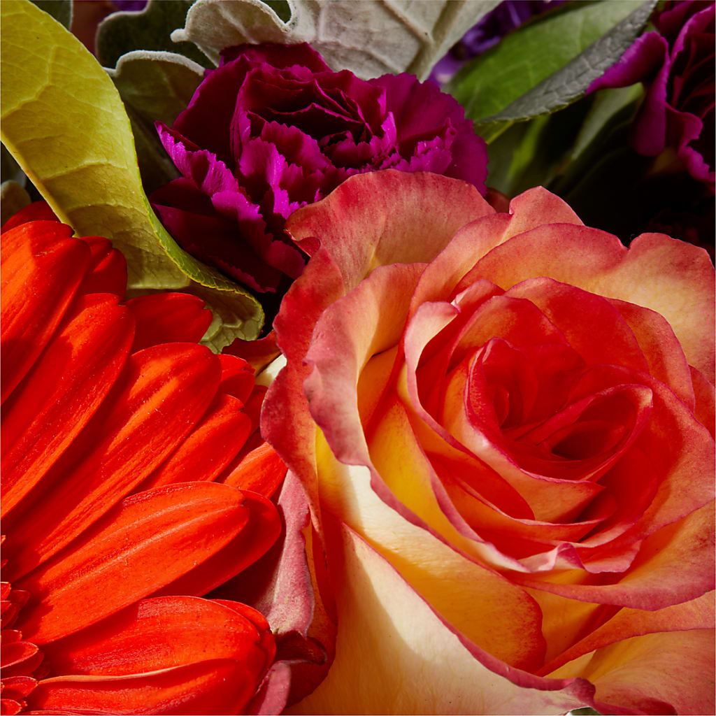 Sangria Bouquet – FLOWER HOUSE PLANTS & BLOOMS, Willowick OH