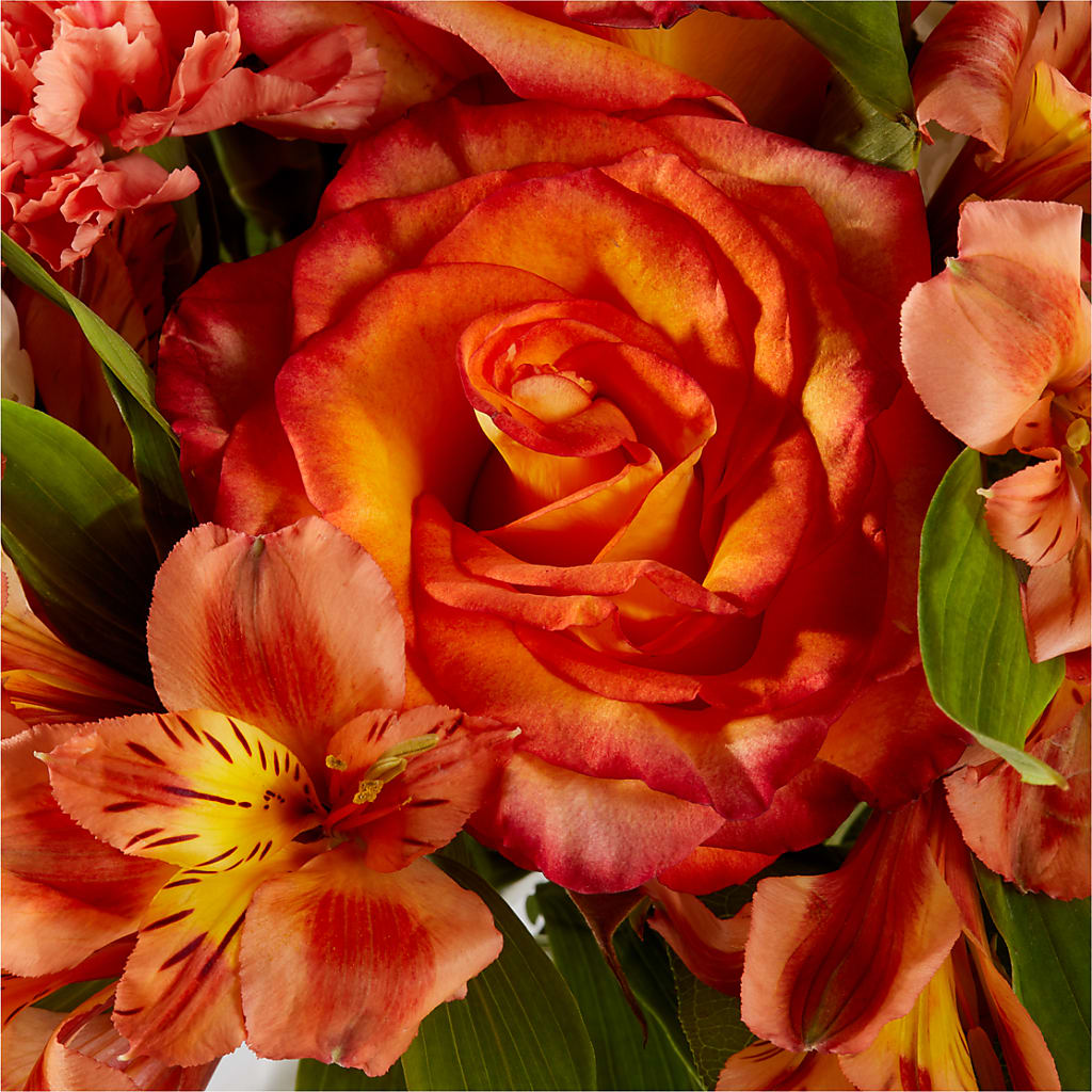 Apricot Glow Bouquet – FLOWER HOUSE PLANTS & BLOOMS, Willowick OH